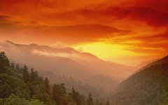 Desktop wallpaper. Nature. ID:29473