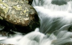 Desktop wallpaper. Nature. ID:29475