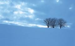 Desktop wallpaper. Nature. ID:29477