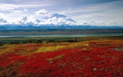 Desktop wallpaper. Nature. ID:29483