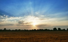 Desktop wallpaper. Nature. ID:29484