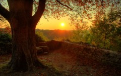 Desktop wallpaper. Nature. ID:29489