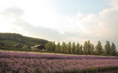 Desktop wallpaper. Nature. ID:29492