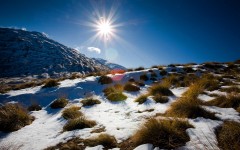 Desktop wallpaper. Nature. ID:29494