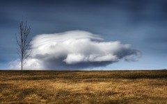 Desktop wallpaper. Nature. ID:29497
