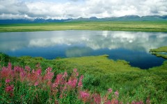 Desktop wallpaper. Nature. ID:29498