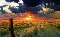 Desktop wallpaper. Nature. ID:29511