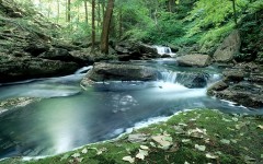 Desktop wallpaper. Nature. ID:29513