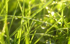 Desktop wallpaper. Nature. ID:29516