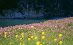 Desktop wallpaper. Nature. ID:29520