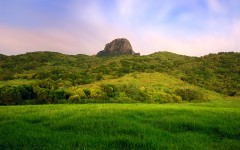 Desktop wallpaper. Nature. ID:29523