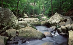 Desktop wallpaper. Nature. ID:29532
