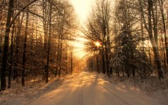 Desktop wallpaper. Nature. ID:29533