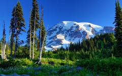 Desktop wallpaper. Nature. ID:50538