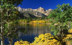 Desktop wallpaper. Nature. ID:29552