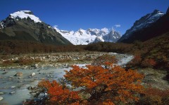 Desktop wallpaper. Nature. ID:29556