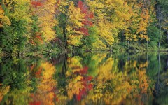 Desktop wallpaper. Nature. ID:29560