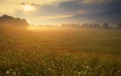 Desktop wallpaper. Nature. ID:29573