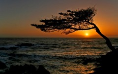 Desktop wallpaper. Nature. ID:29580
