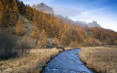 Desktop image. Nature. ID:29591