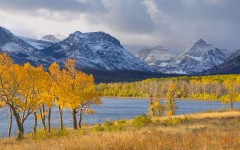 Desktop image. Nature. ID:29593