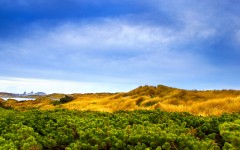 Desktop image. Nature. ID:29595