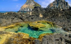 Desktop image. Nature. ID:29597