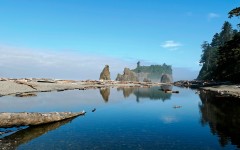 Desktop image. Nature. ID:29598