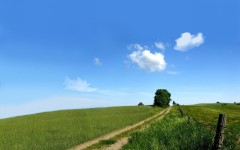 Desktop image. Nature. ID:29600