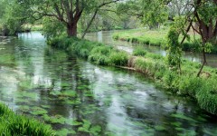 Desktop image. Nature. ID:29601