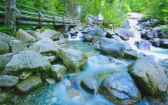 Desktop image. Nature. ID:29602