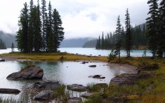 Desktop wallpaper. Nature. ID:29608