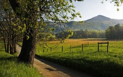 Desktop wallpaper. Nature. ID:29614