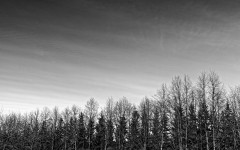 Desktop wallpaper. Nature. ID:50544