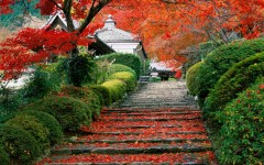 Desktop wallpaper. Nature. ID:29628