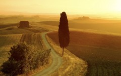 Desktop wallpaper. Nature. ID:29644