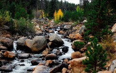 Desktop wallpaper. Nature. ID:29647
