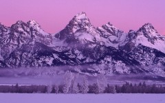 Desktop wallpaper. Nature. ID:29649