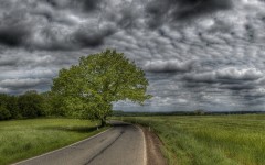 Desktop wallpaper. Nature. ID:29658