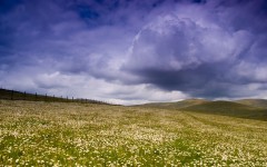 Desktop wallpaper. Nature. ID:29667