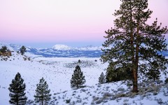 Desktop wallpaper. Nature. ID:29674