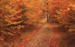 Desktop wallpaper. Nature. ID:29677