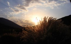 Desktop wallpaper. Nature. ID:29689