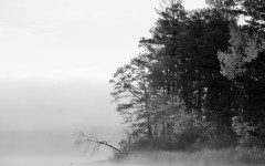 Desktop wallpaper. Nature. ID:29695