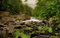 Desktop wallpaper. Nature. ID:29700