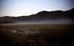 Desktop wallpaper. Nature. ID:29704