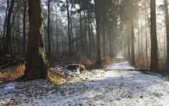 Desktop wallpaper. Nature. ID:29705
