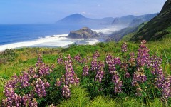 Desktop wallpaper. Nature. ID:29710