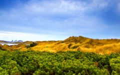 Desktop wallpaper. Nature. ID:29715