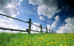Desktop wallpaper. Nature. ID:29719